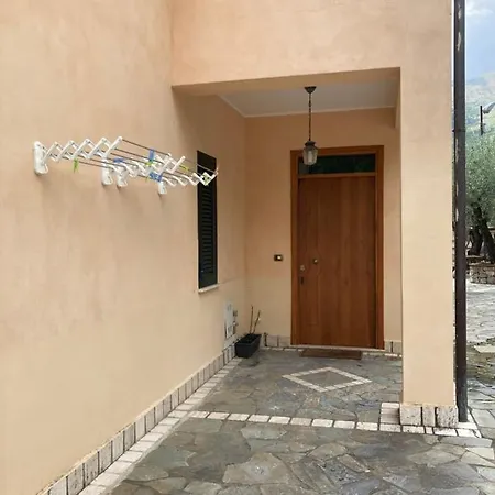 L’ulivo