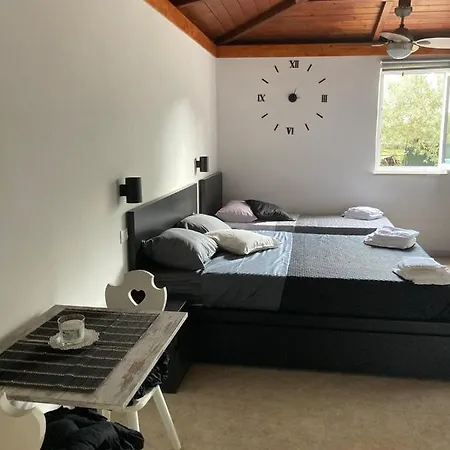 L'ulivo Nocleg ze śniadaniem Formia