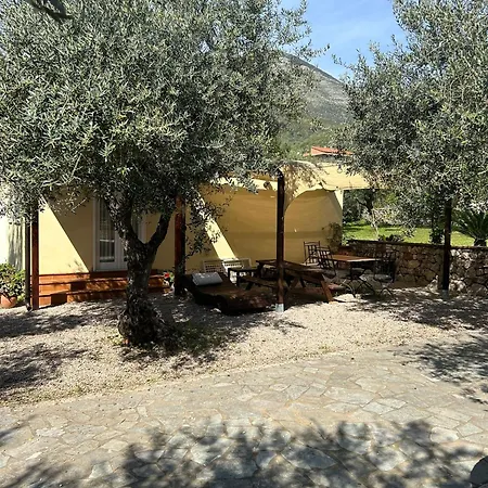 Bed & Breakfast L’ulivo *
