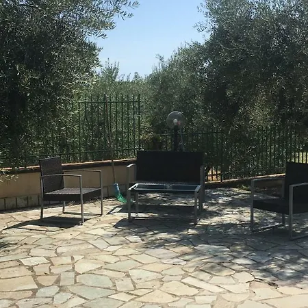 L’ulivo *